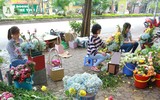 Hoa tươi, quà tặng đắt hàng ngày Quốc tế Phụ nữ 8-3
